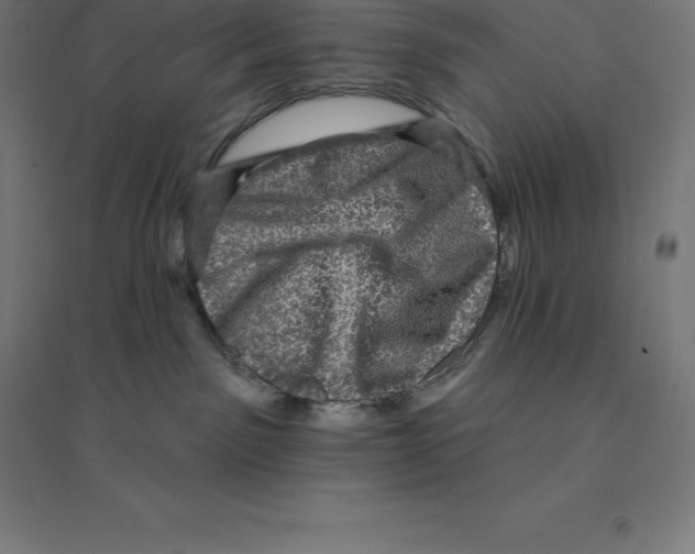 X0000094460141200712061232