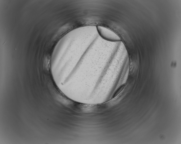 X0000094460142200712061232