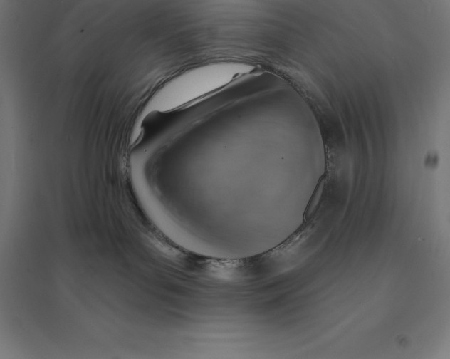 X0000094460143200712061232