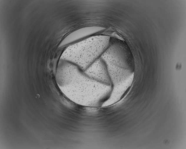 X0000094460144200712061232