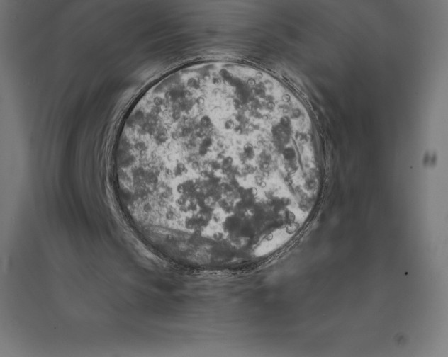 X0000094460145200712061231