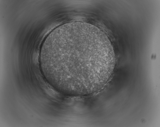 X0000094460146200712061231