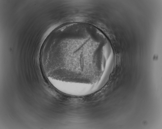 X0000094460147200712061231