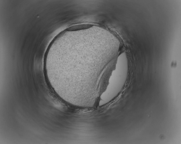 X0000094460148200712061231