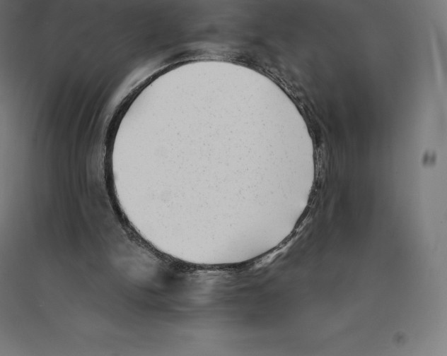 X0000094460150200712061231