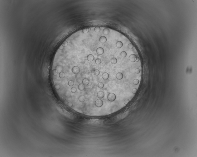 X0000094460153200712061231