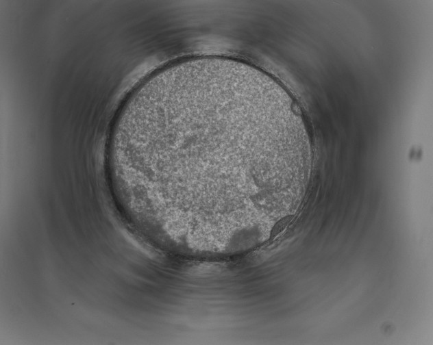 X0000094460155200712061231