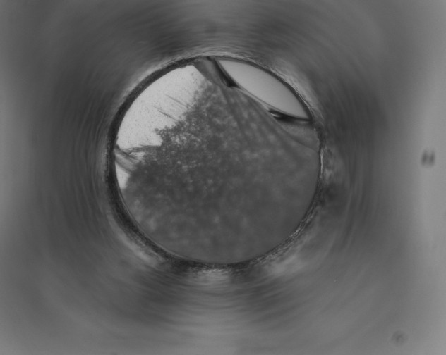 X0000094460156200712061231