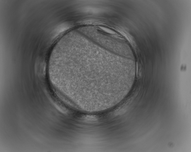 X0000094460157200712061231