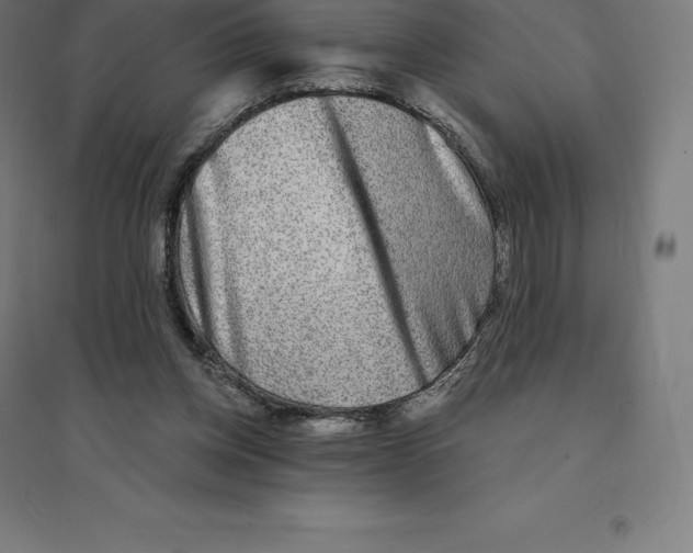 X0000094460158200712061231