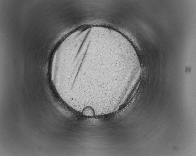 X0000094460159200712061231