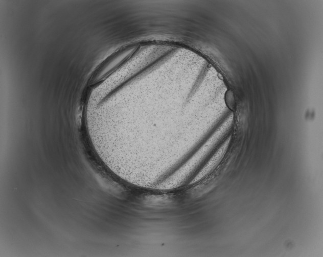 X0000094460160200712061231