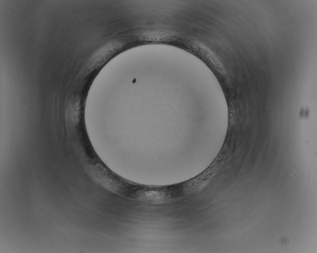 X0000094460163200712061231