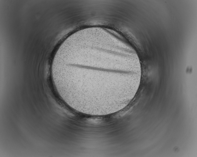 X0000094460164200712061231