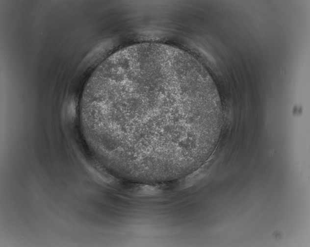 X0000094460166200712061231