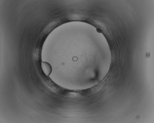 X0000094460167200712061231