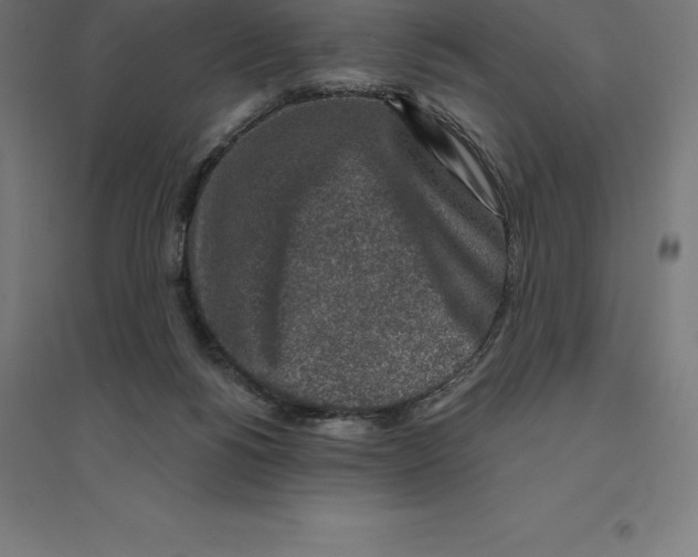 X0000094460168200712061231