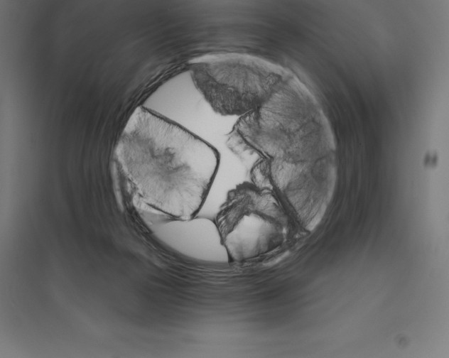 X0000094460169200712061231