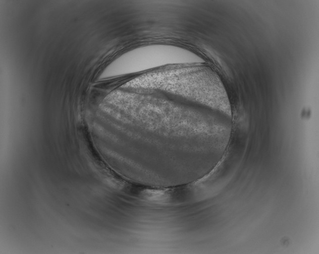 X0000094460170200712061231