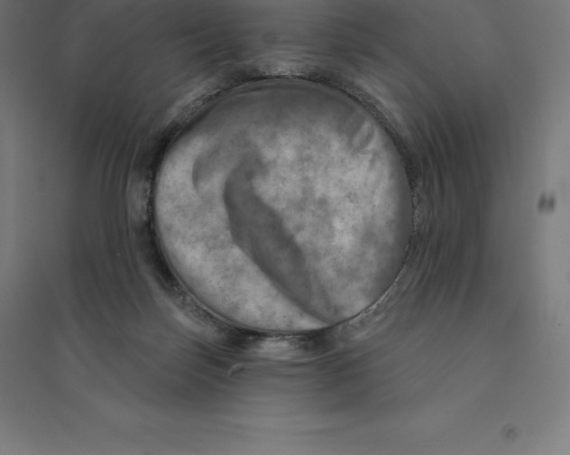 X0000094460171200712061231