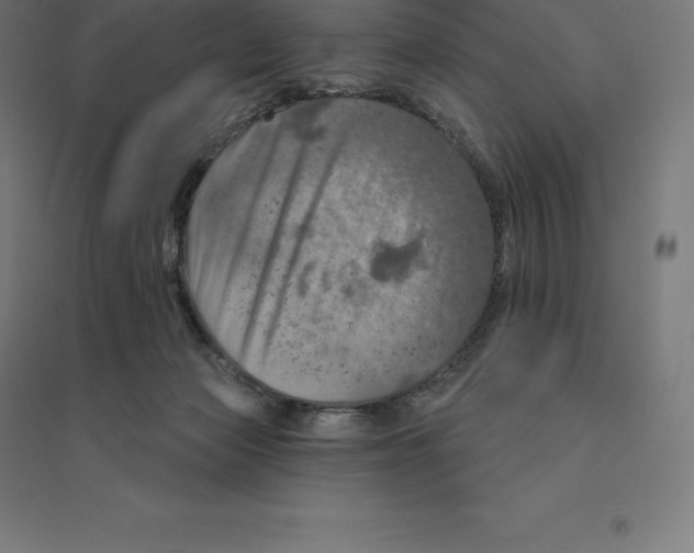 X0000094460173200712061231