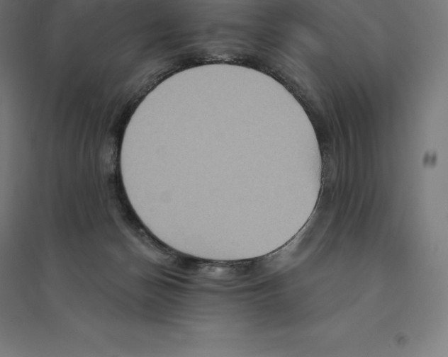 X0000094460174200712061231