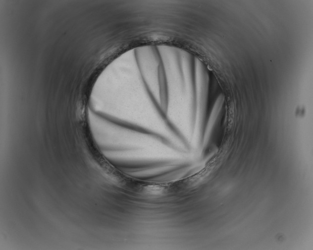 X0000094460176200712061231