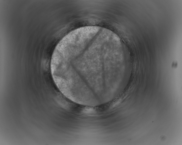 X0000094460177200712061231