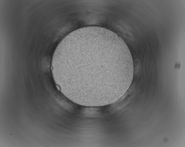 X0000094460179200712061231