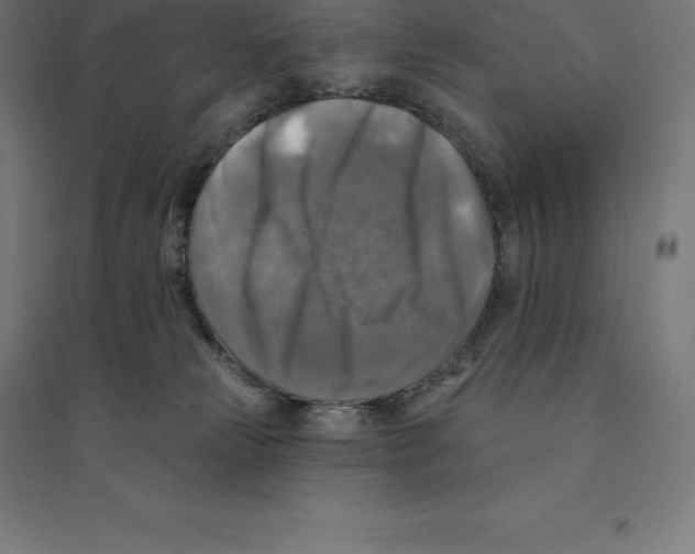 X0000094460181200712061231