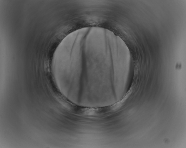 X0000094460182200712061231