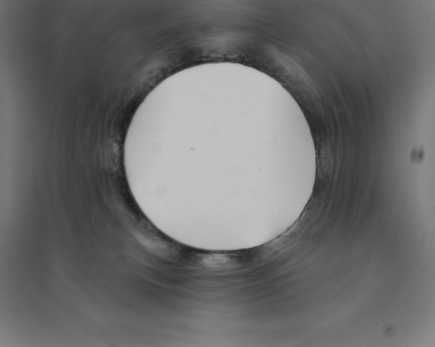 X0000094460183200712061231