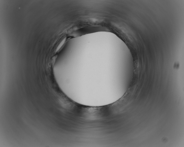 X0000094460184200712061231