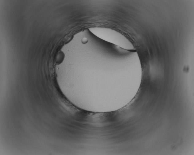 X0000094460186200712061231