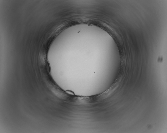 X0000094460188200712061231