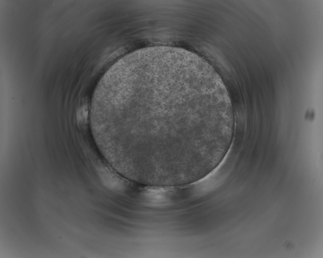 X0000094460190200712061231