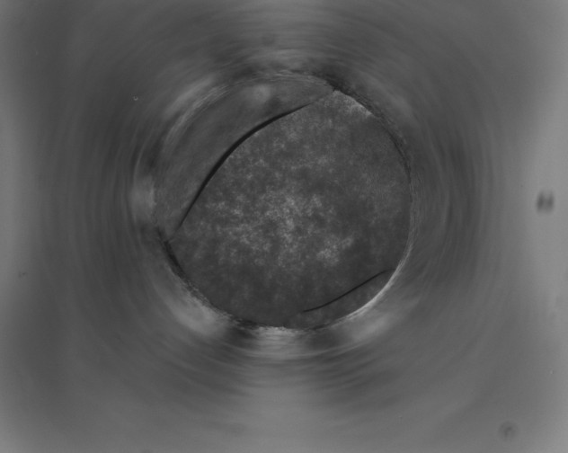 X0000094460192200712061232