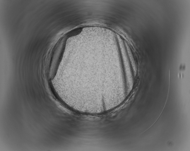 X0000094460193200712061231