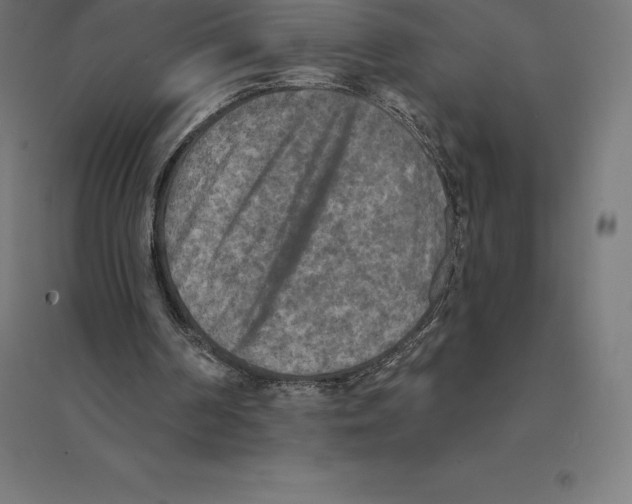 X0000094460194200712061231