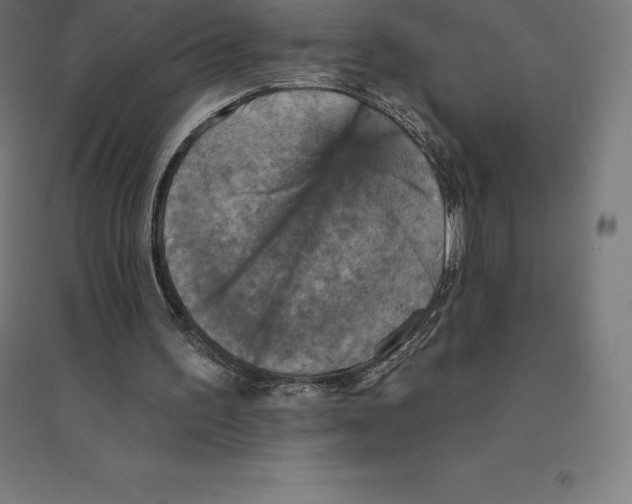 X0000094460195200712061231