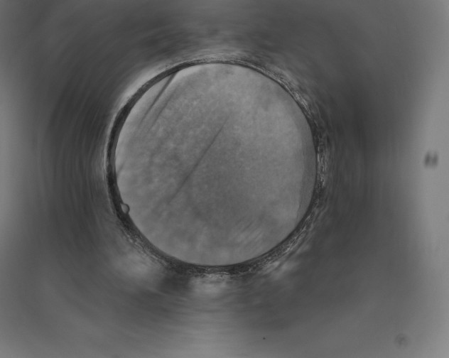 X0000094460196200712061231