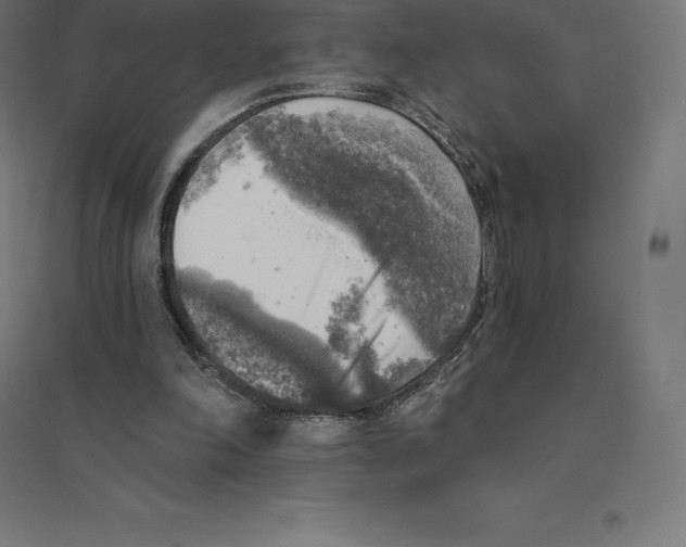 X0000094460198200712061231