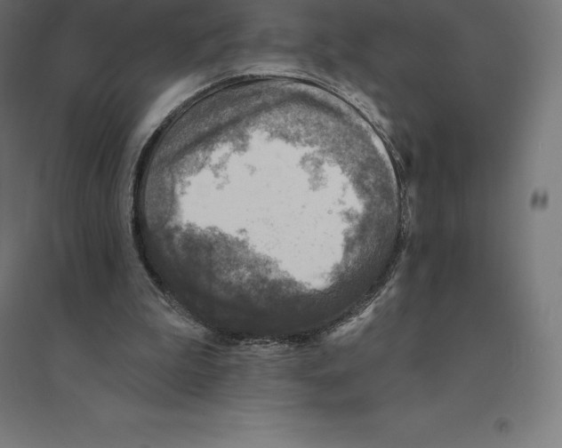 X0000094460199200712061231