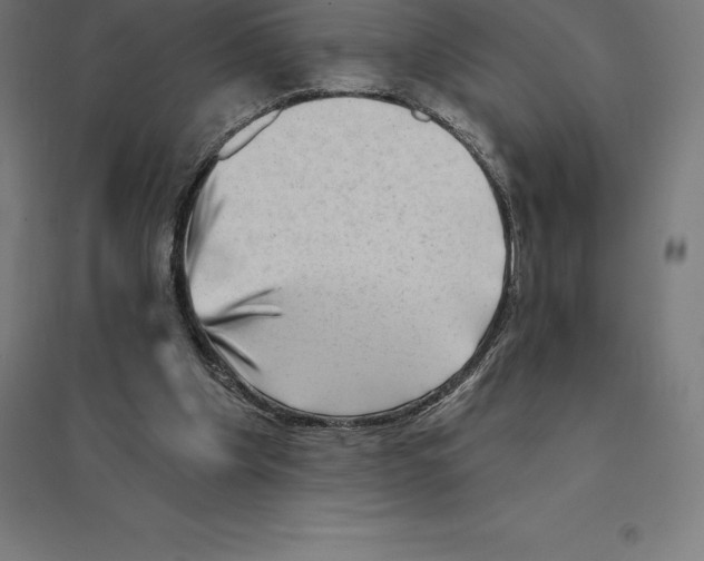 X0000094460201200712061231