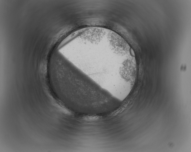 X0000094460202200712061231