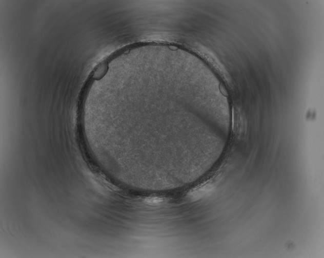 X0000094460204200712061231