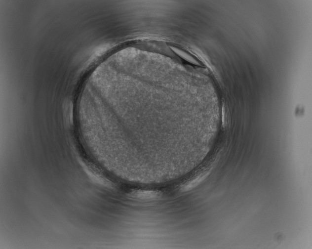 X0000094460205200712061231