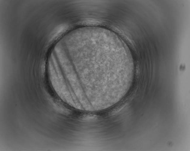 X0000094460206200712061231