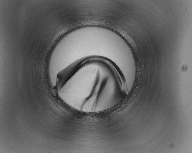 X0000094460207200712061231