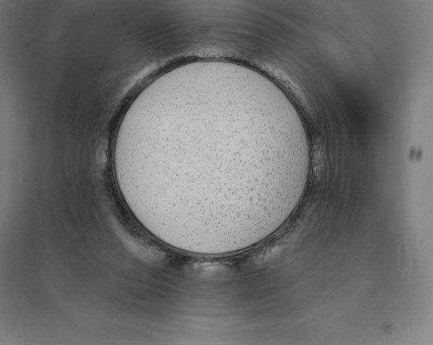 X0000094460208200712061231